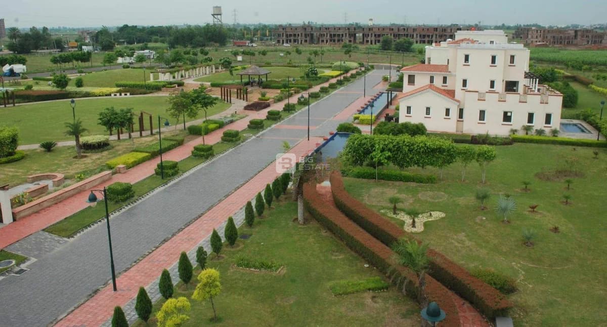 Shy Whales Sky Land 1