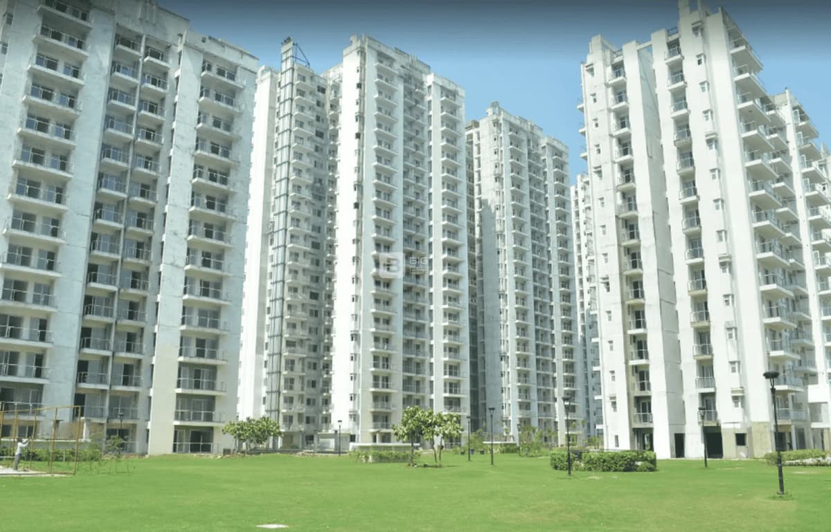 Microtek Greenburg 1