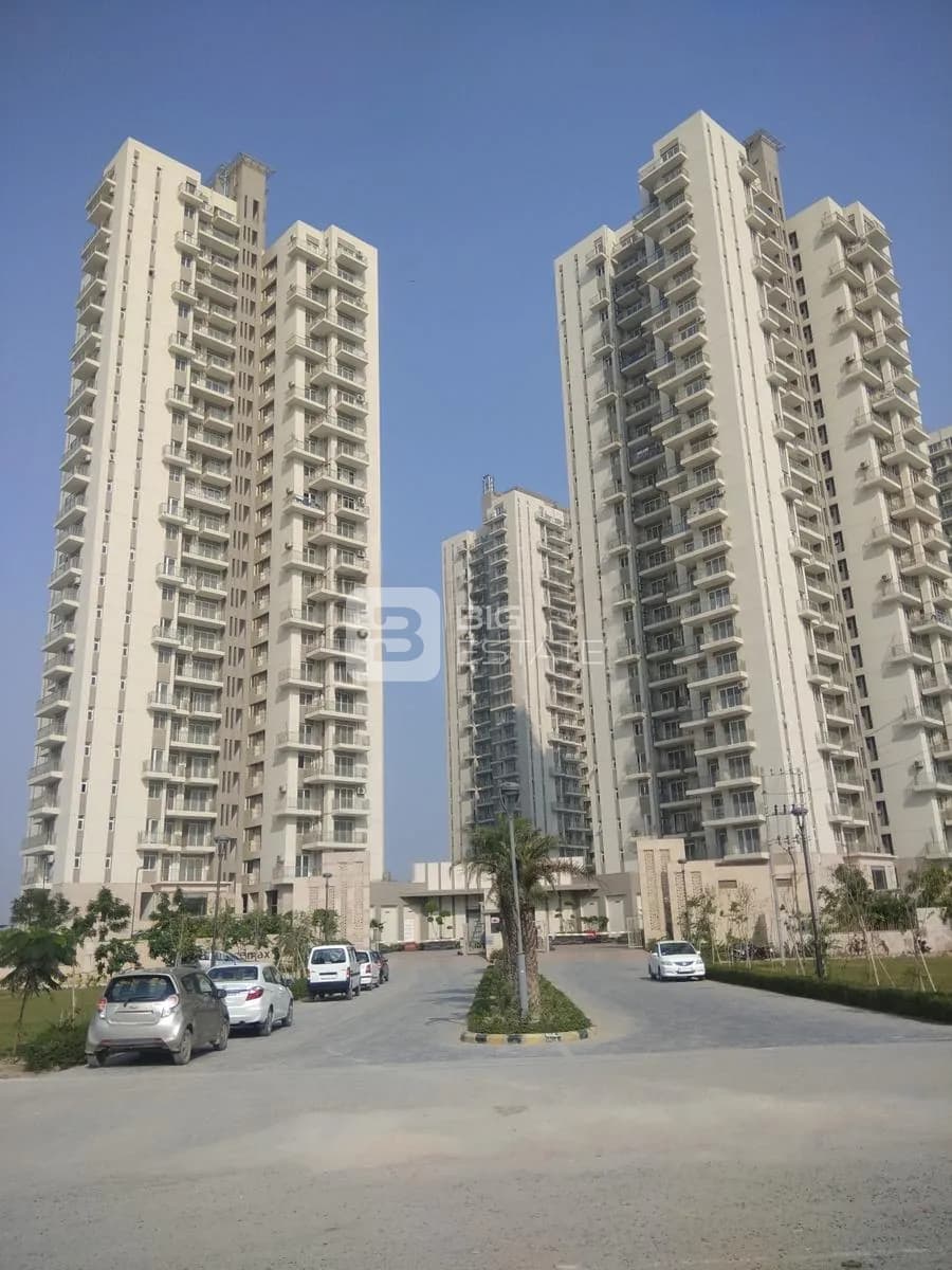 Conscient Heritage Max 1