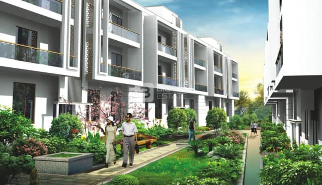 Wishfield The Carmine