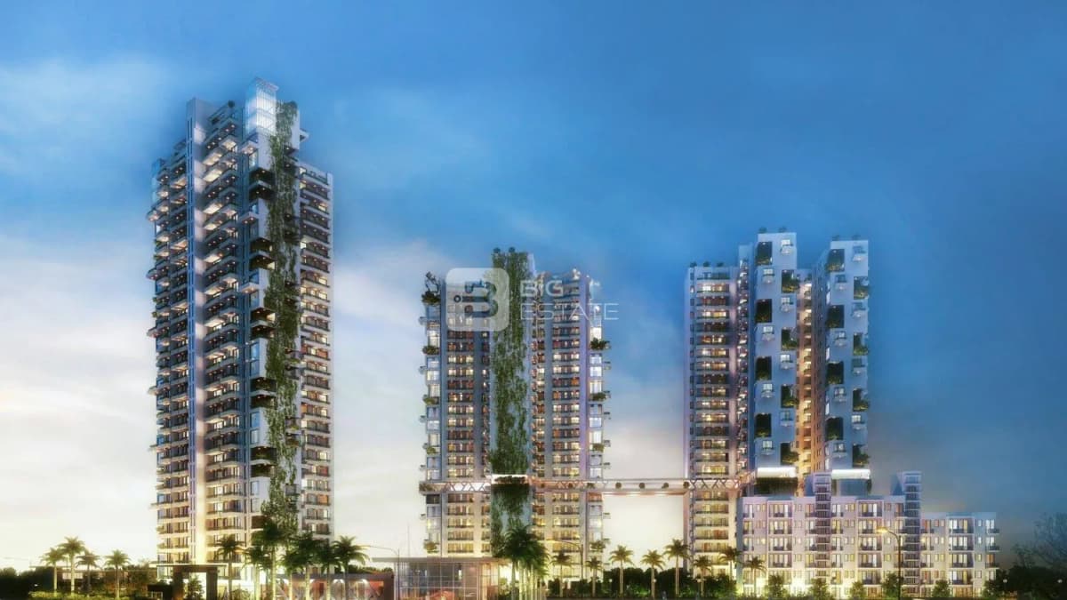 Agrante Beethoven 8 1