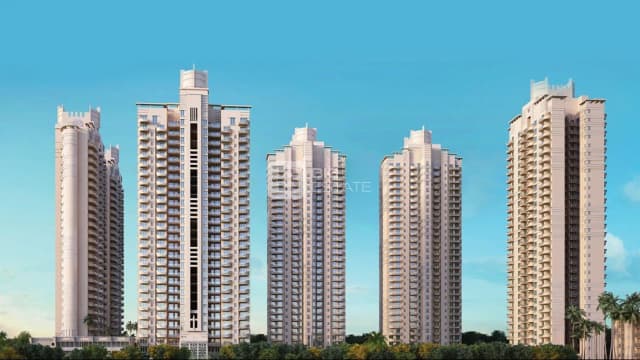 ATS Greens Tangerine