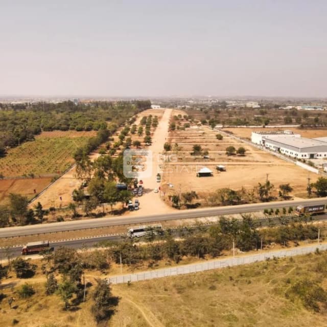 Fortune The Highway Orchards