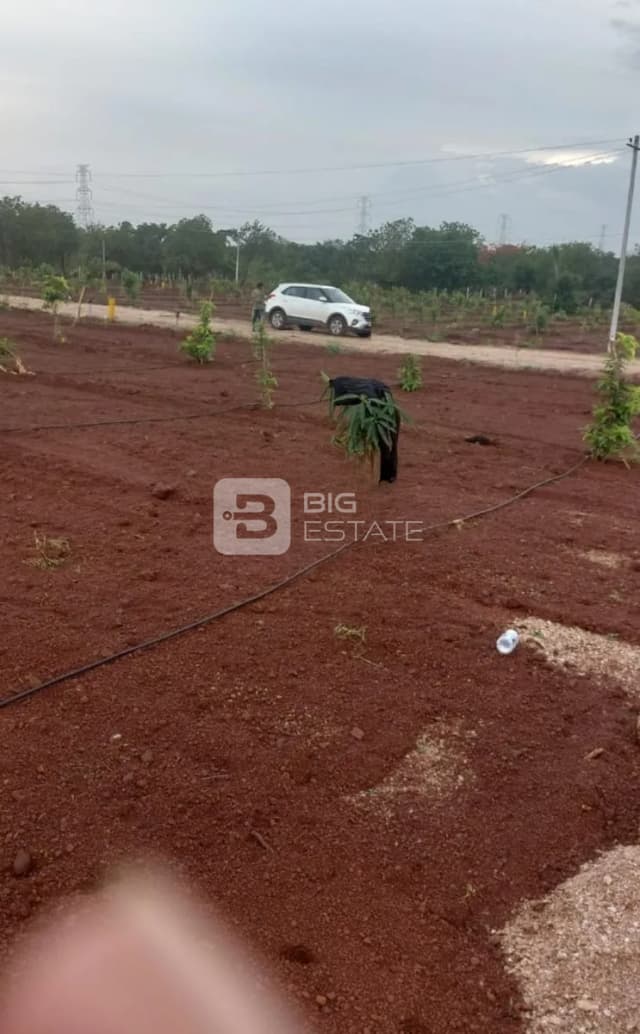 Habitat Royal Meadows