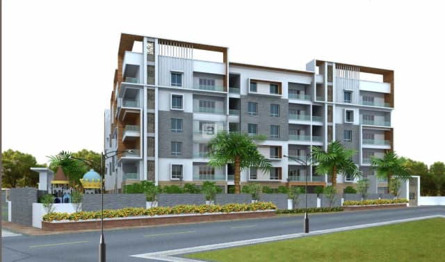 Legend Dukes Legend Stellar