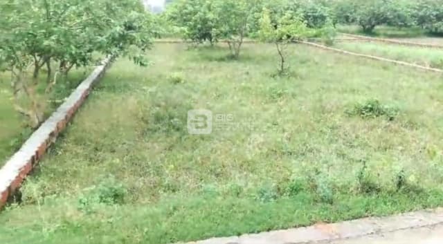 Park Square Asset Homes