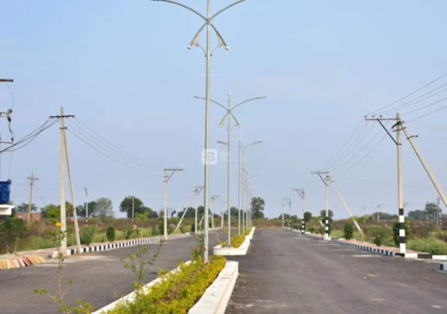 Tricolour Brown Valley