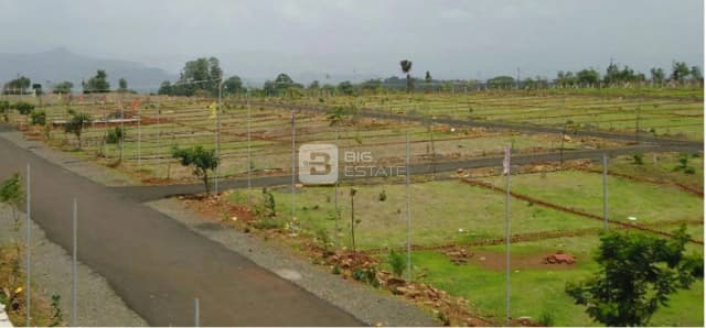 TMR Urban Meadows
