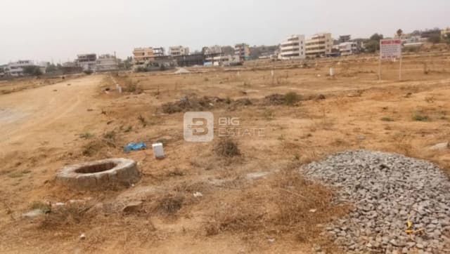 Virtusa Celosia Nest