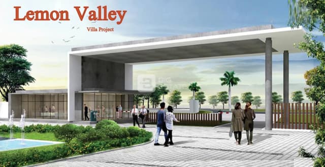 Mynenis Lemon Valley