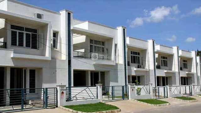 Koncept Palm County Rows