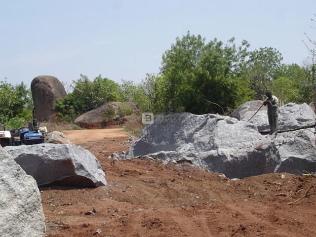 Suchirindia Koral Reef