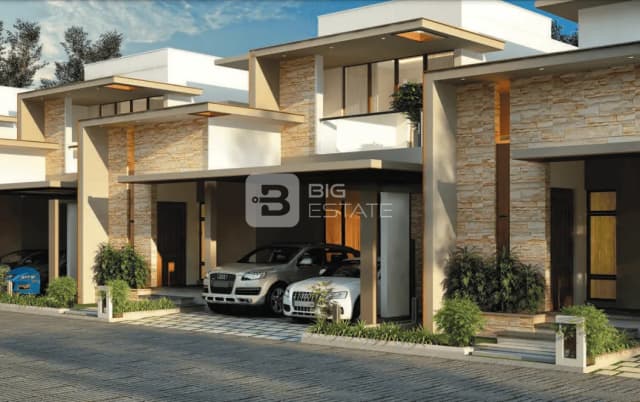 Walls N Anjuna Villas