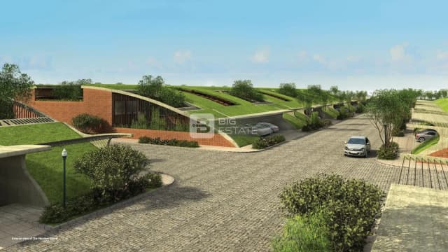 Total The Meadow Dance