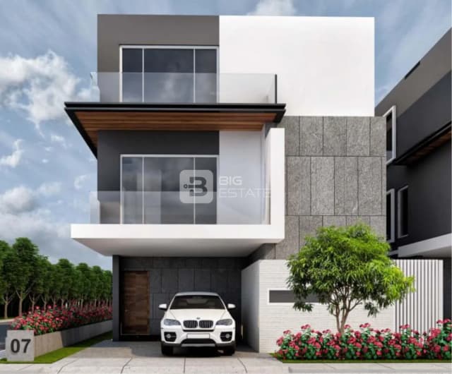 Kakatiya Mango Leaf