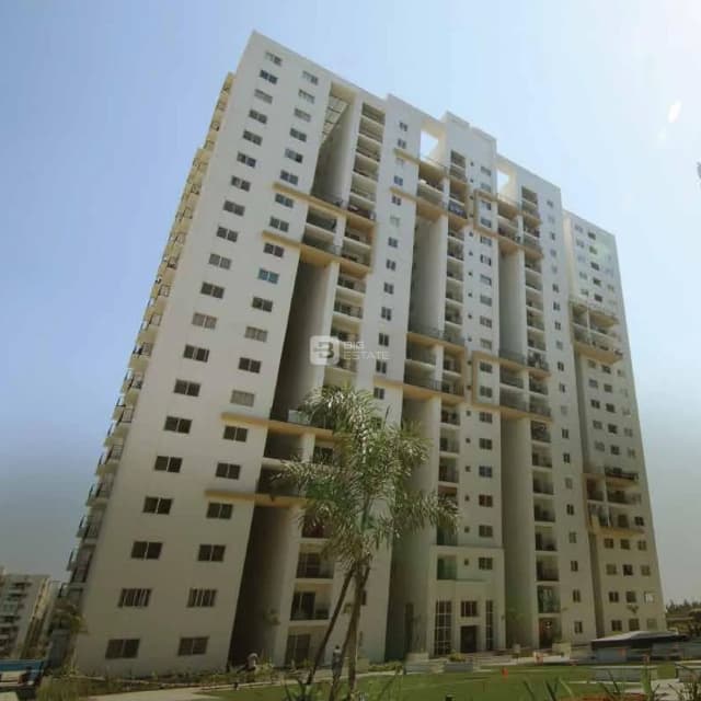 Indis Pearl At City