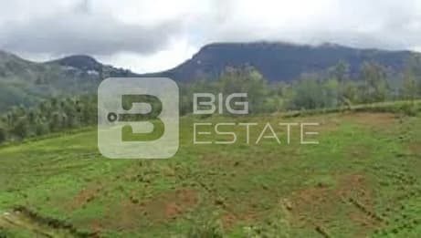 Hiranandani Loftline