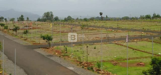 Fortune Butterflycity Extension