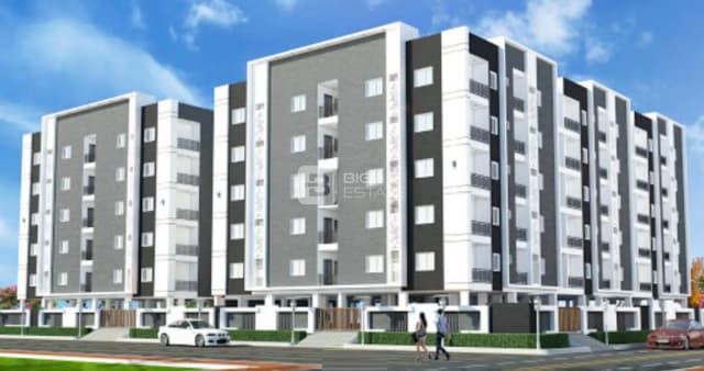 S And S Shapur Elite County