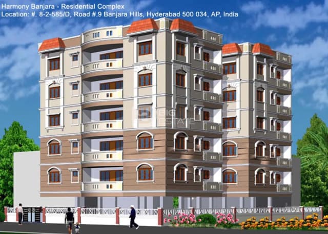 Elite Harmony Banjara