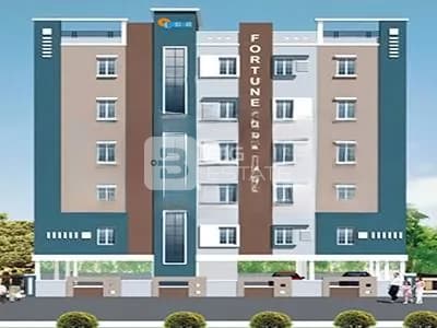 Lucid Fortune Homes