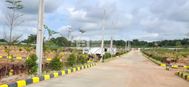 Sunrise Signature City