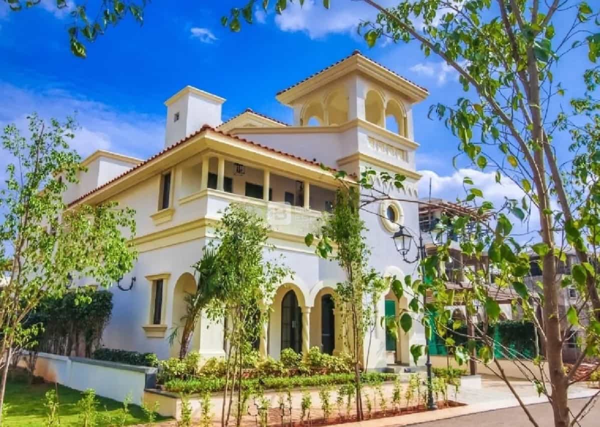 Elevation