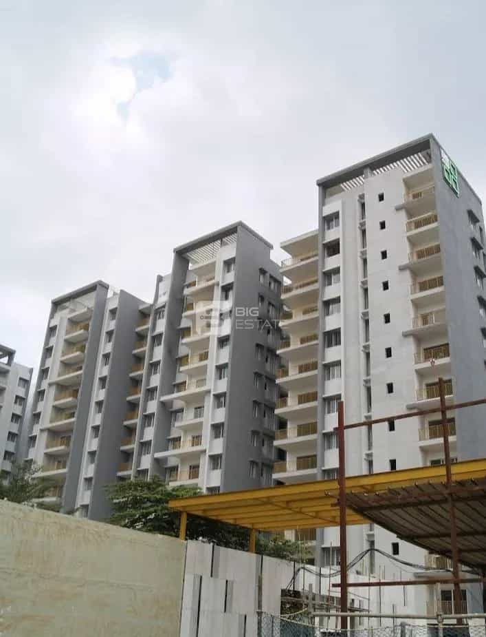 Elevation