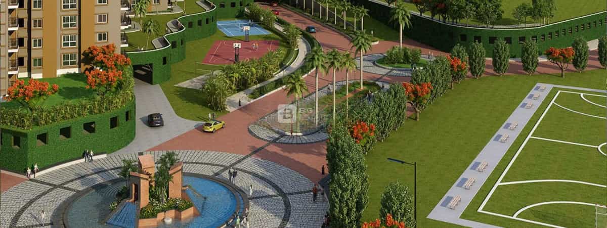Amenities