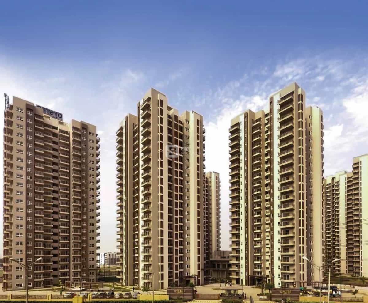 Elevation