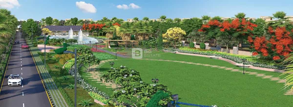 Elevation