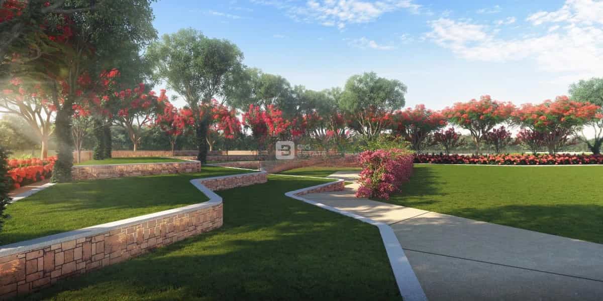 Amenities