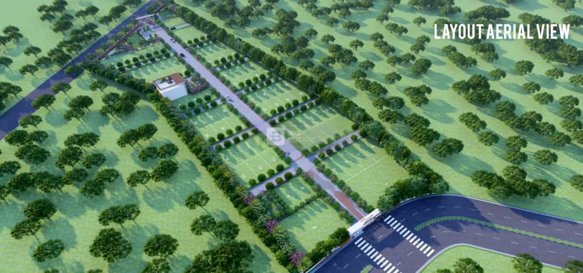 Layout Plan