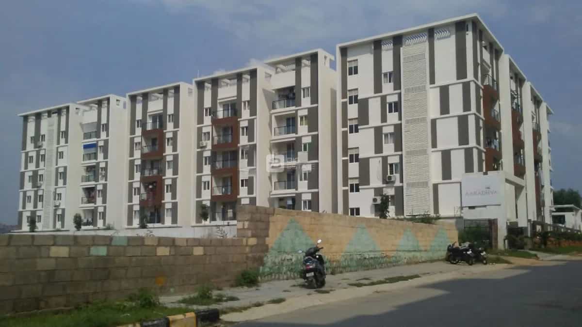Elevation